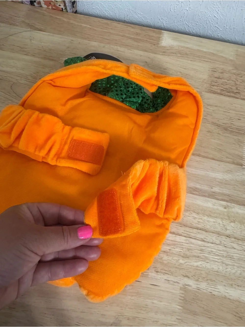 Dog‎ Cat Pumpkin Halloween Costume